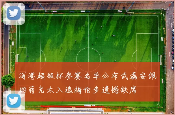 海港超级杯参赛名单公布武磊安佩姆蒋光太入选梅伦多遗憾缺席